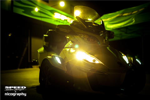 SPIDER-01.jpg